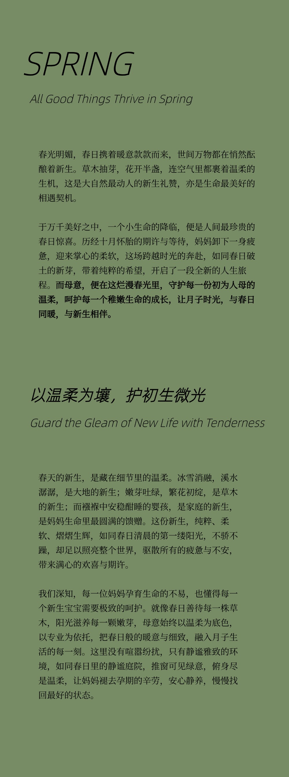 古树普洱2 (2).jpg