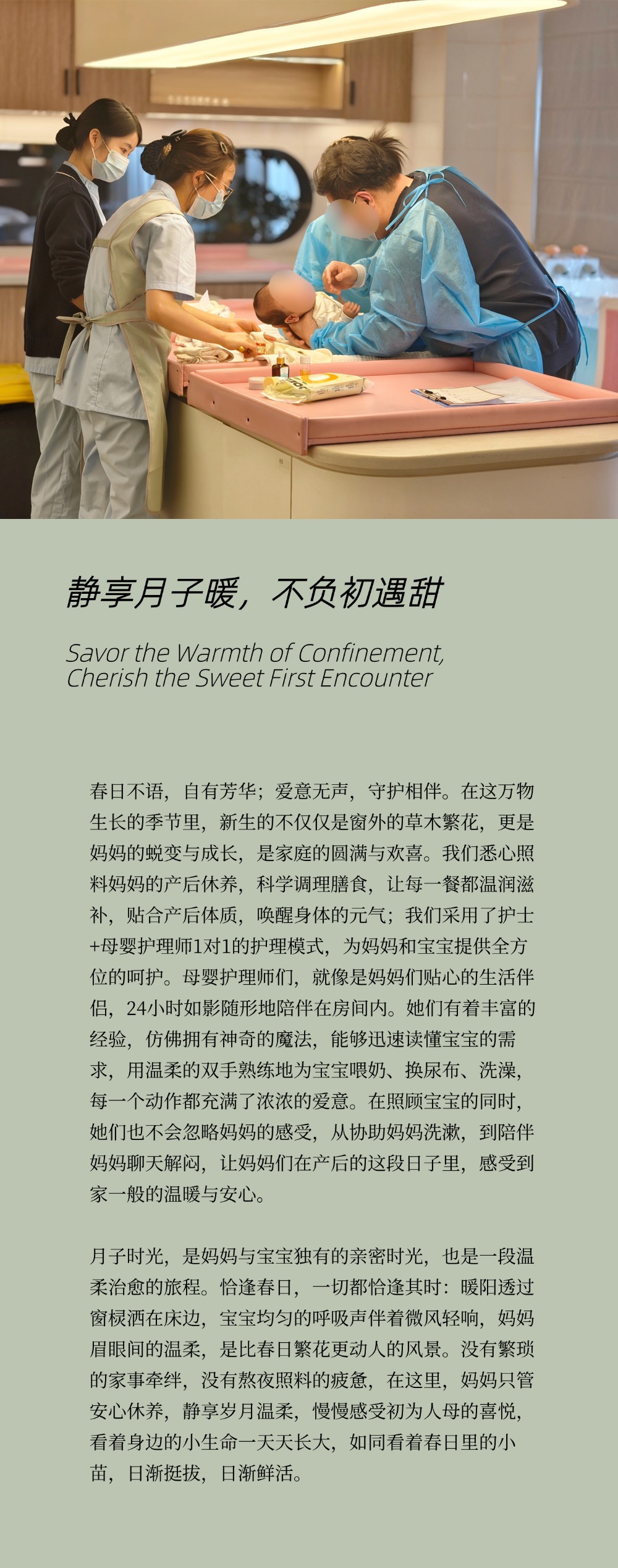 古树普洱2 (3).jpg
