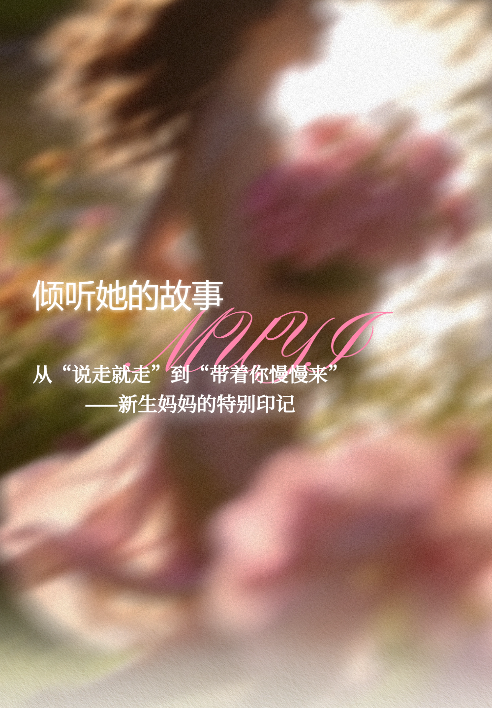 古树普洱2.png
