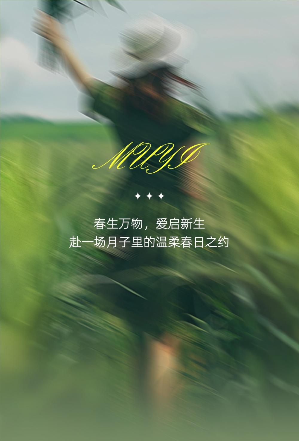 古树普洱2.jpg