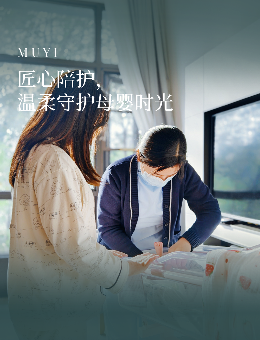 明前龙井2 (3).png