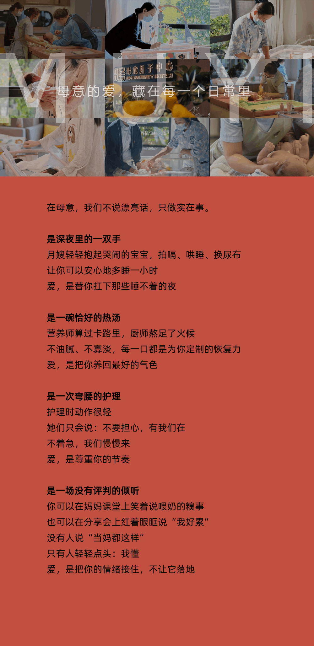 明前龙井2 (3).gif